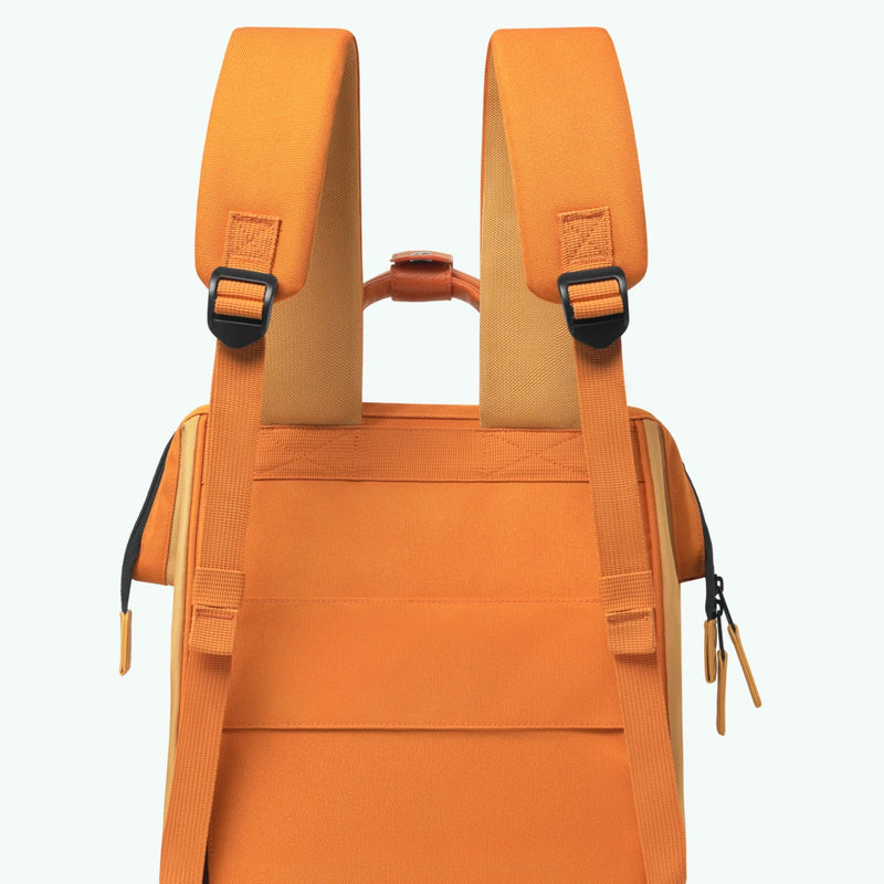 Sac à dos Adventurer Medium Grasse — vue 9
